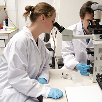 Digestieve oncologie